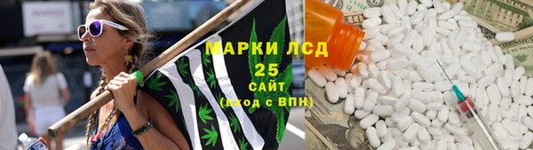 гидра Горно-Алтайск