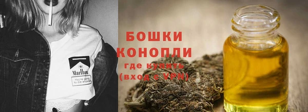 apvp Гусиноозёрск