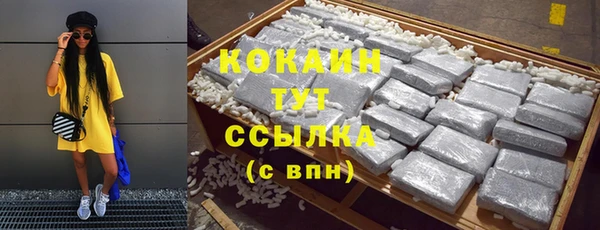 молекула духа Гусев