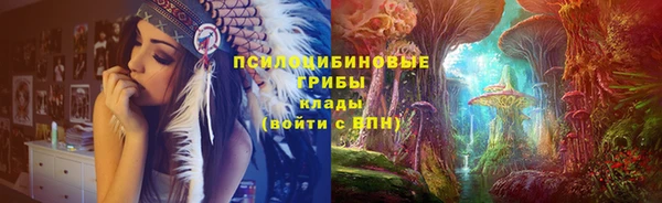 ALPHA PVP Ельня