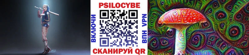 Псилоцибиновые грибы мухоморы  MEGA ССЫЛКА  сайты даркнета телеграм  Дагестанские Огни 